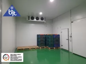 Cold Storage Chiller untuk Simpan Buah Tomat dari BJT: Solusi Segar Lebih Lama, Untung Lebih Nyata